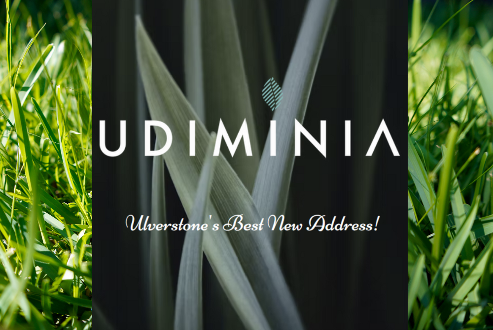Udiminia - Ulverstone's Best New Address